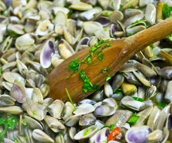 Come si possono cucinare le telline Come si possono cucinare le telline