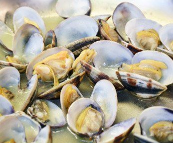 Come spurgare le telline di mare Come spurgare le telline di mare