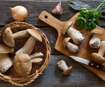 Come fare il paté di funghi Come fare il paté di funghi