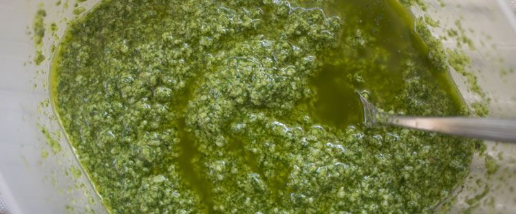 Come fare il pesto di broccoli Come fare il pesto di broccoli