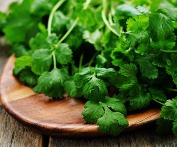 Come usare il coriandolo in foglie