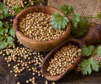 Come usare il coriandolo in grani