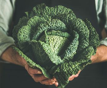 Come pulire il cavolo nero