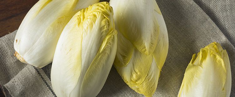 Come cucinare l'indivia belga