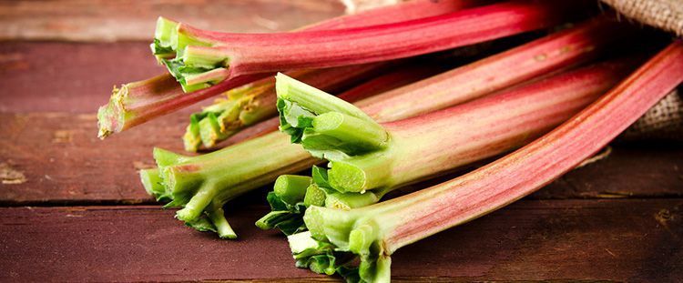 Come si cucina il rabarbaro