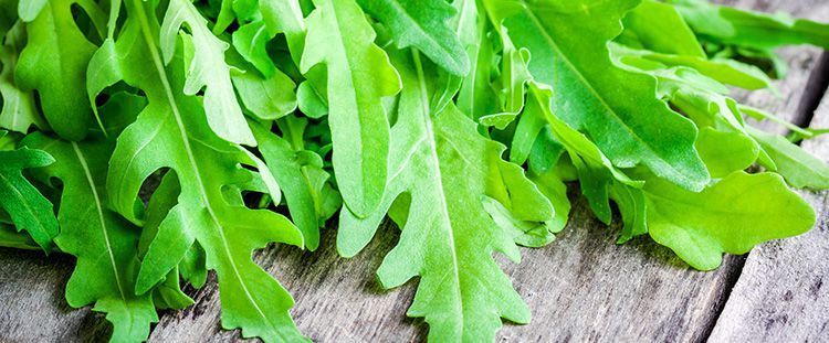 Come cucinare la rucola