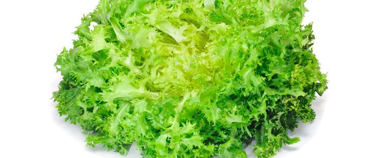 Come cucinare la scarola