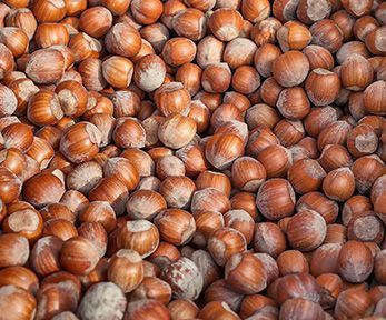 Come fare la crema di nocciole senza uova Come fare la crema di nocciole senza uova