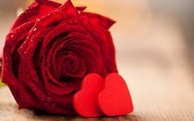 Il dettaglio in più