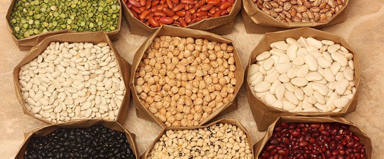 Legumi: quali sono, consigli per l'utilizzo e ricette per gustarli