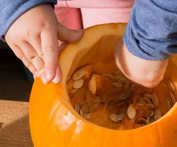 Cosa fare con i semi della zucca