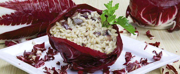 Le 10 migliori ricette con il radicchio