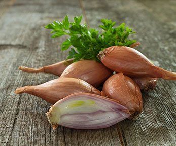 Cos'&egrave; lo scalogno