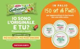 Con Galbanino a tavola vince l’originale Con Galbanino a tavola vince l’originale
