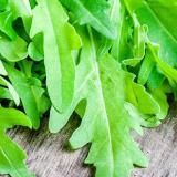 Come cucinare la rucola