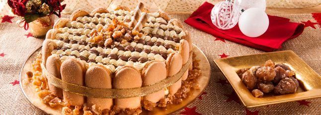 Charlotte Tiramisù