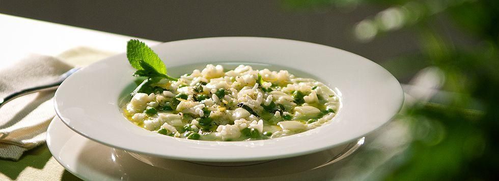 Risotto con piselli