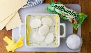 ricoprire le lasagne con il galbanino ricoprire le lasagne con il galbanino