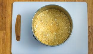 stendere i crackers tritti in una teglia stendere i crackers tritti in una teglia