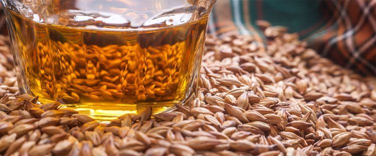 Come usare il malto d'orzo nei dolci